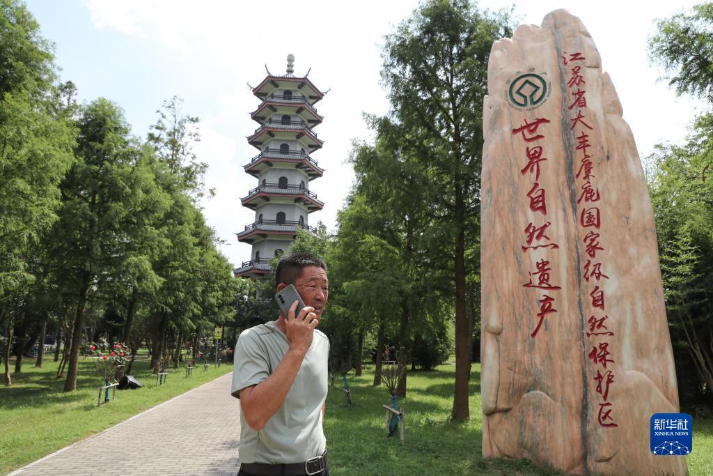 哈灵麻将技巧与概率